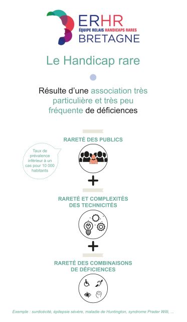 Schéma sur le handicap rare